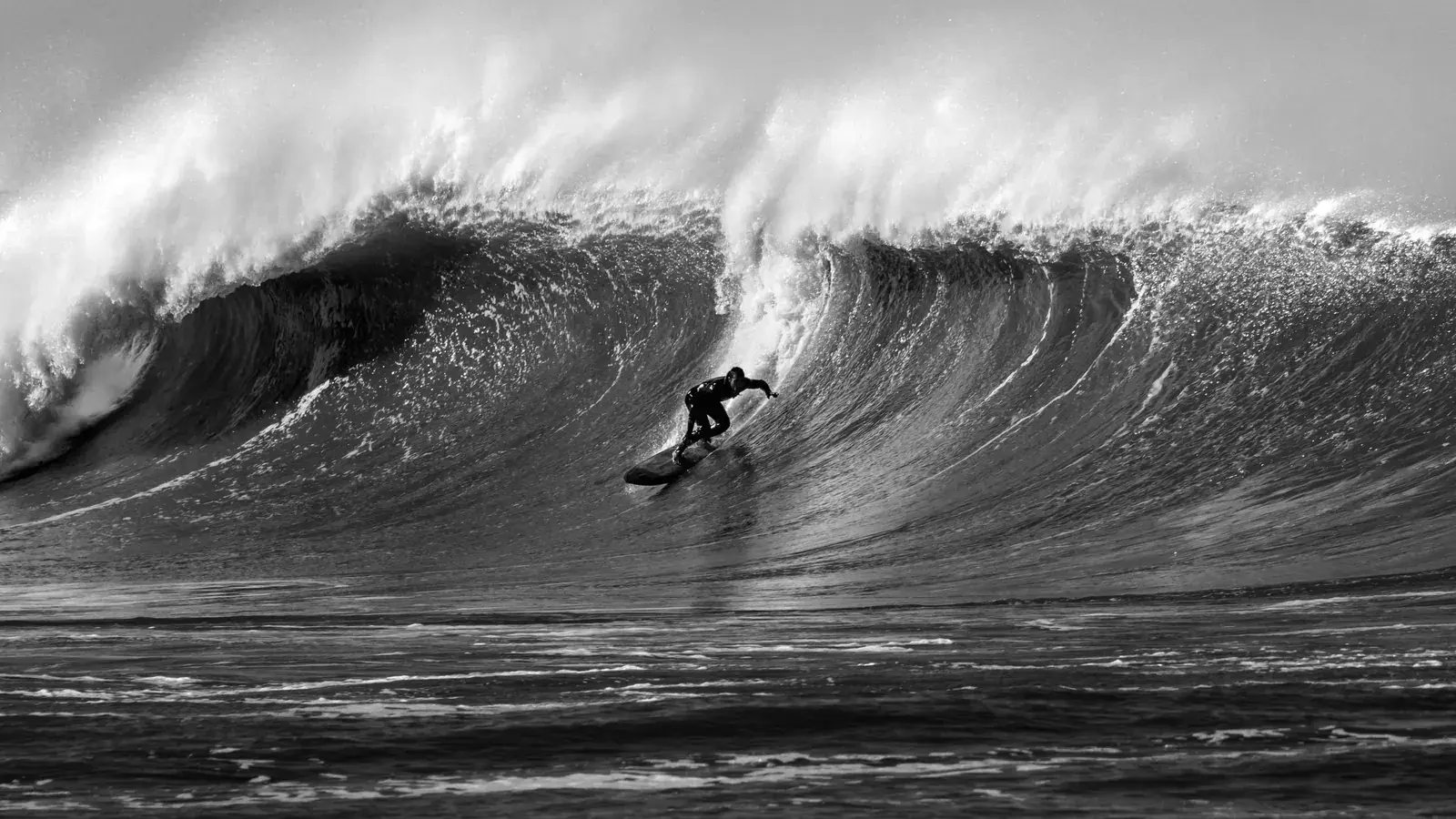 Trend Following Strategy: Rules, Examples and Risk