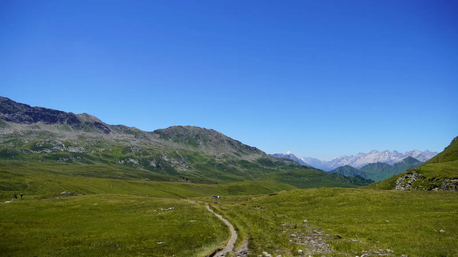 A hiking trail winding through green mountain meadows